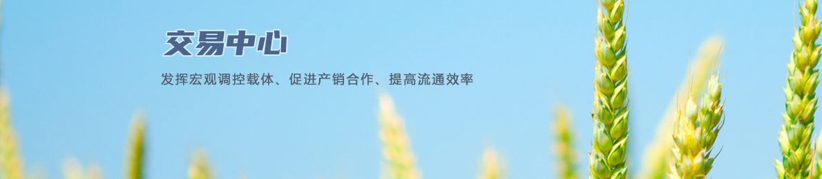 交易服务顶部图片